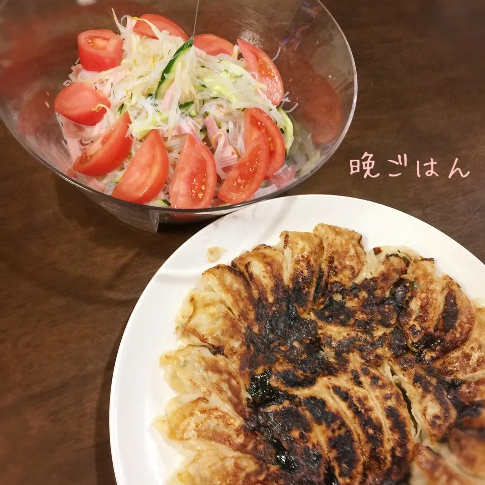 白菜ぎょうざ&春雨サラダ🥗|み〜さん