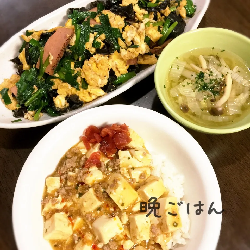 麻婆丼&ニラ玉&白菜きのこスープ|み〜さん