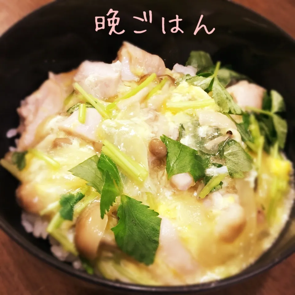 トロトロ親子丼|み〜さん