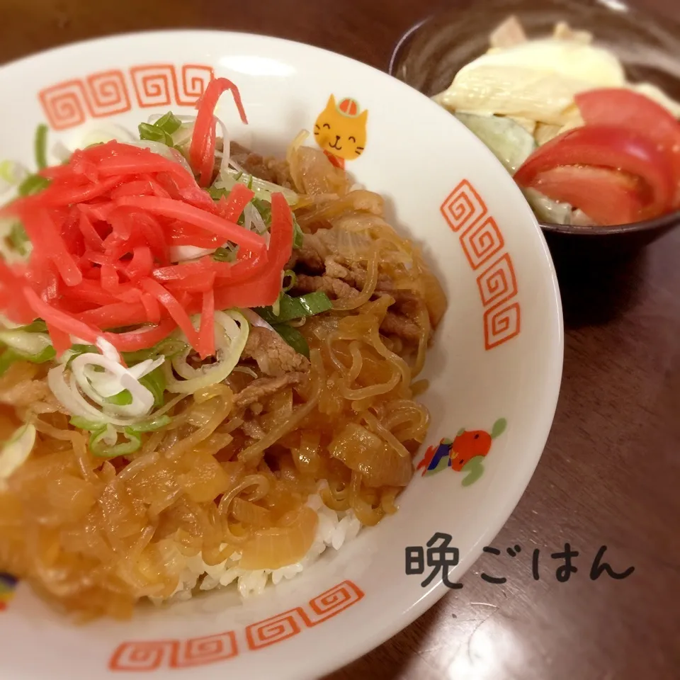 牛丼&マカロニサラダ|み〜さん