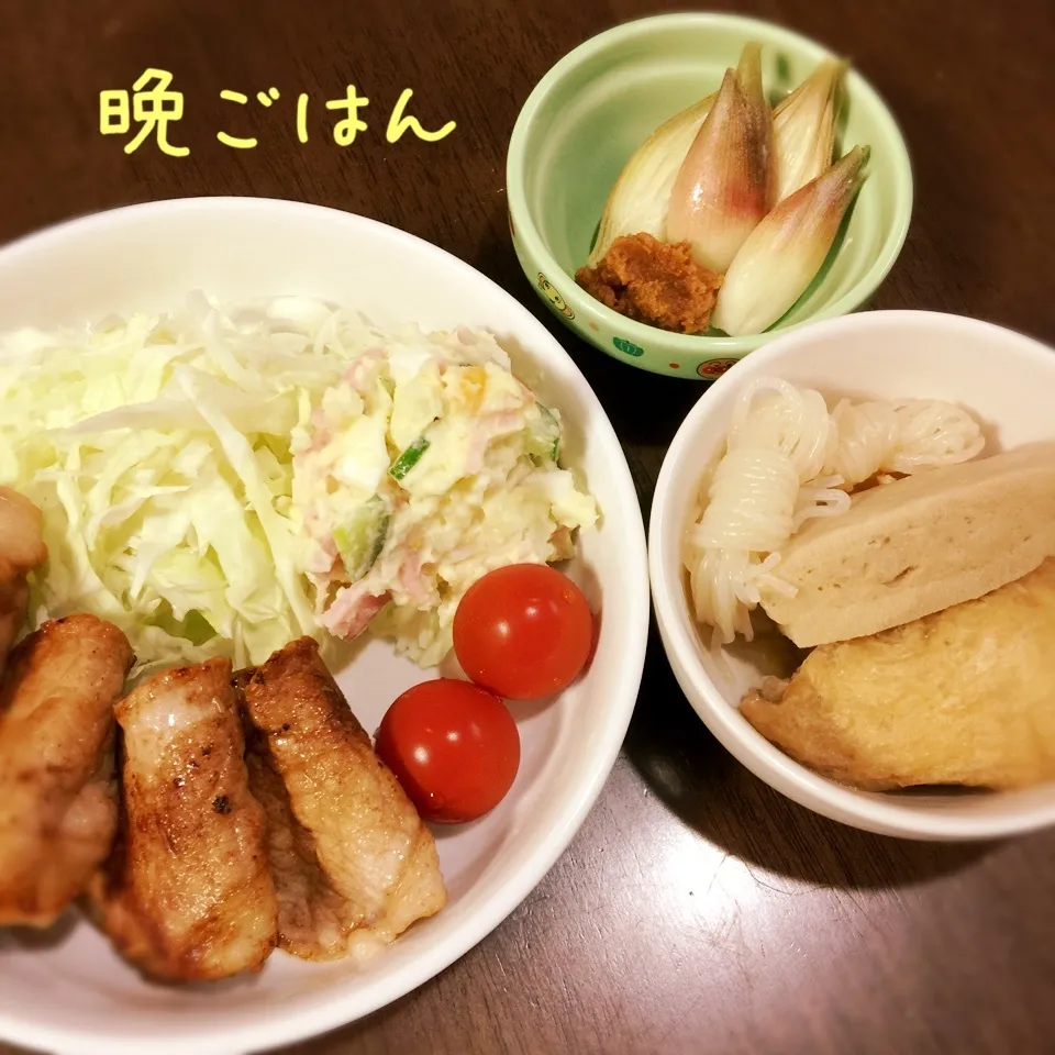 豚の生姜焼き&含め煮&茗荷|み〜さん