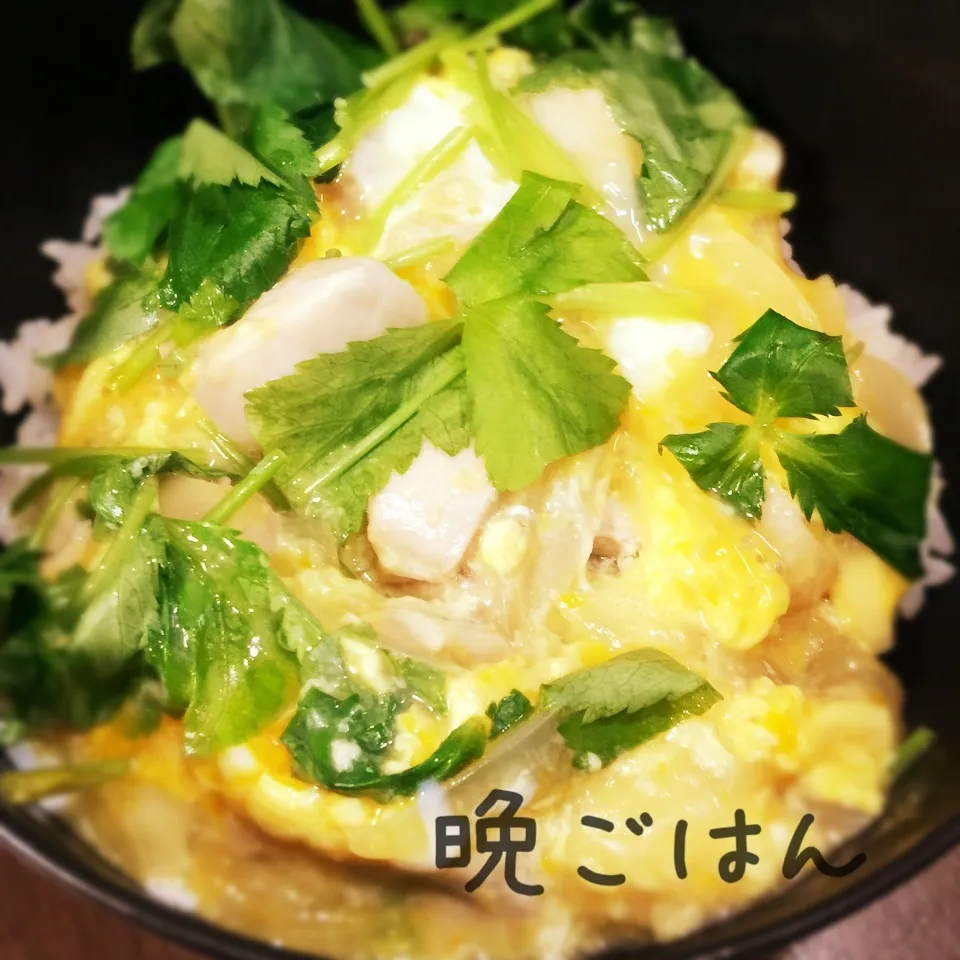 ふわトロ親子丼|み〜さん