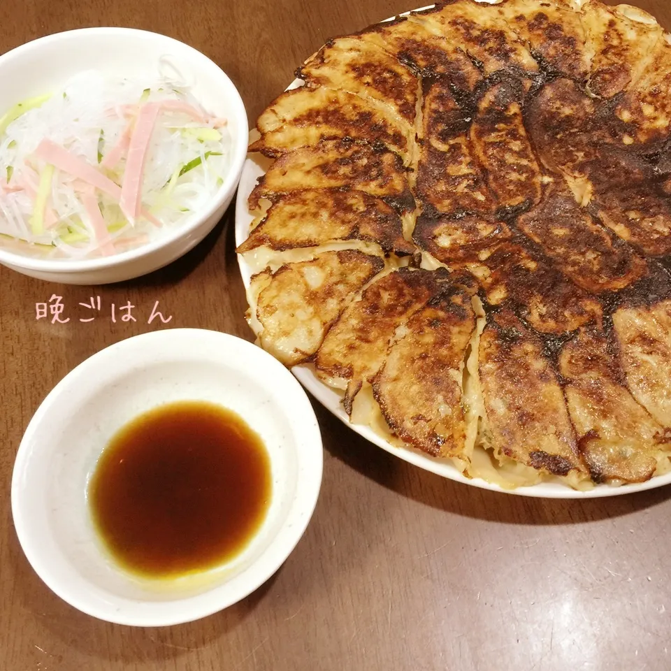 Snapdishの料理写真:焼き餃子&春雨サラダ|み〜さん