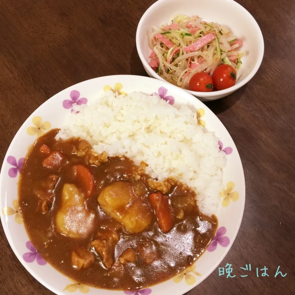 Snapdishの料理写真:ポークカレー&もやしサラダ|み〜さん