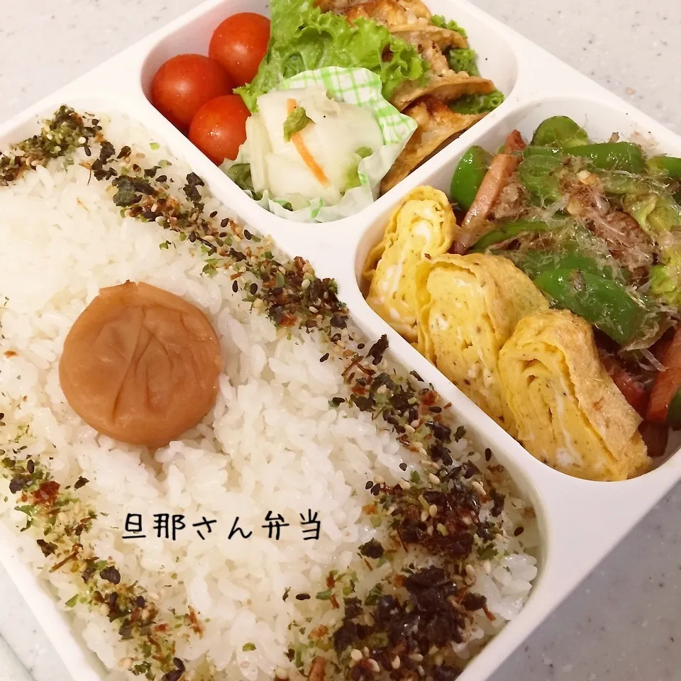 ピーマンと焼き豚おかか炒め&揚げ餃子 弁当|み〜さん