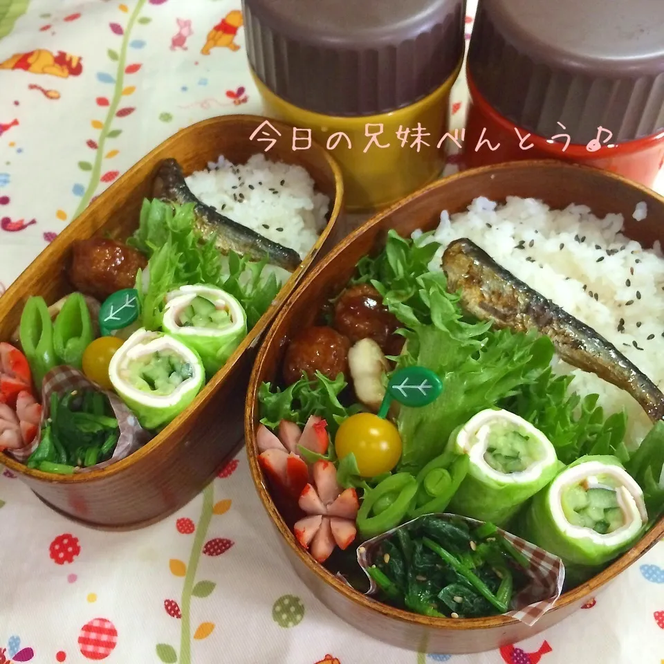 今日の兄妹弁当|はなさん