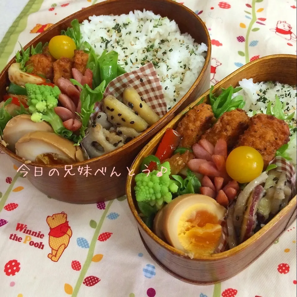 今日の兄妹弁当|はなさん