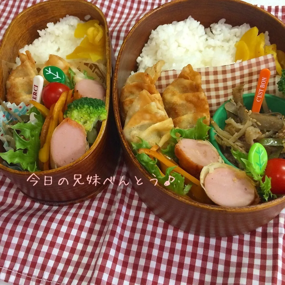 今日の兄妹弁当|はなさん