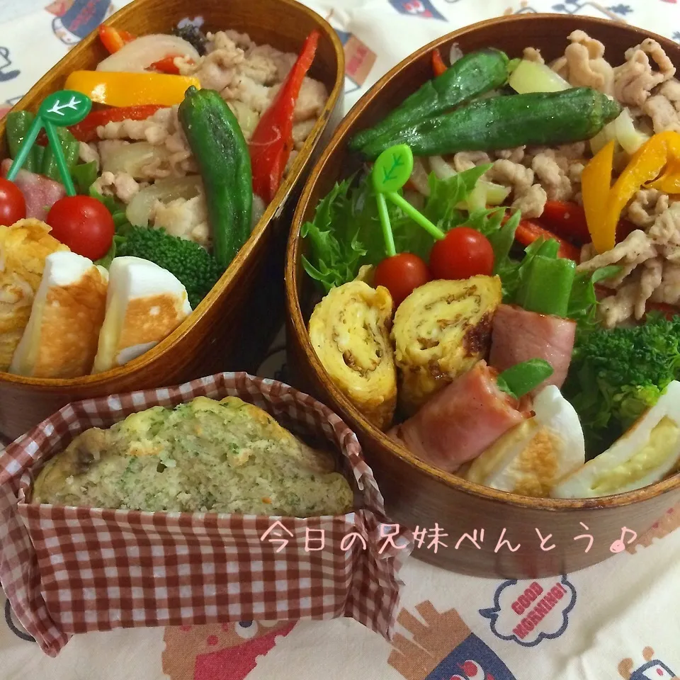 今日の兄妹弁当|はなさん