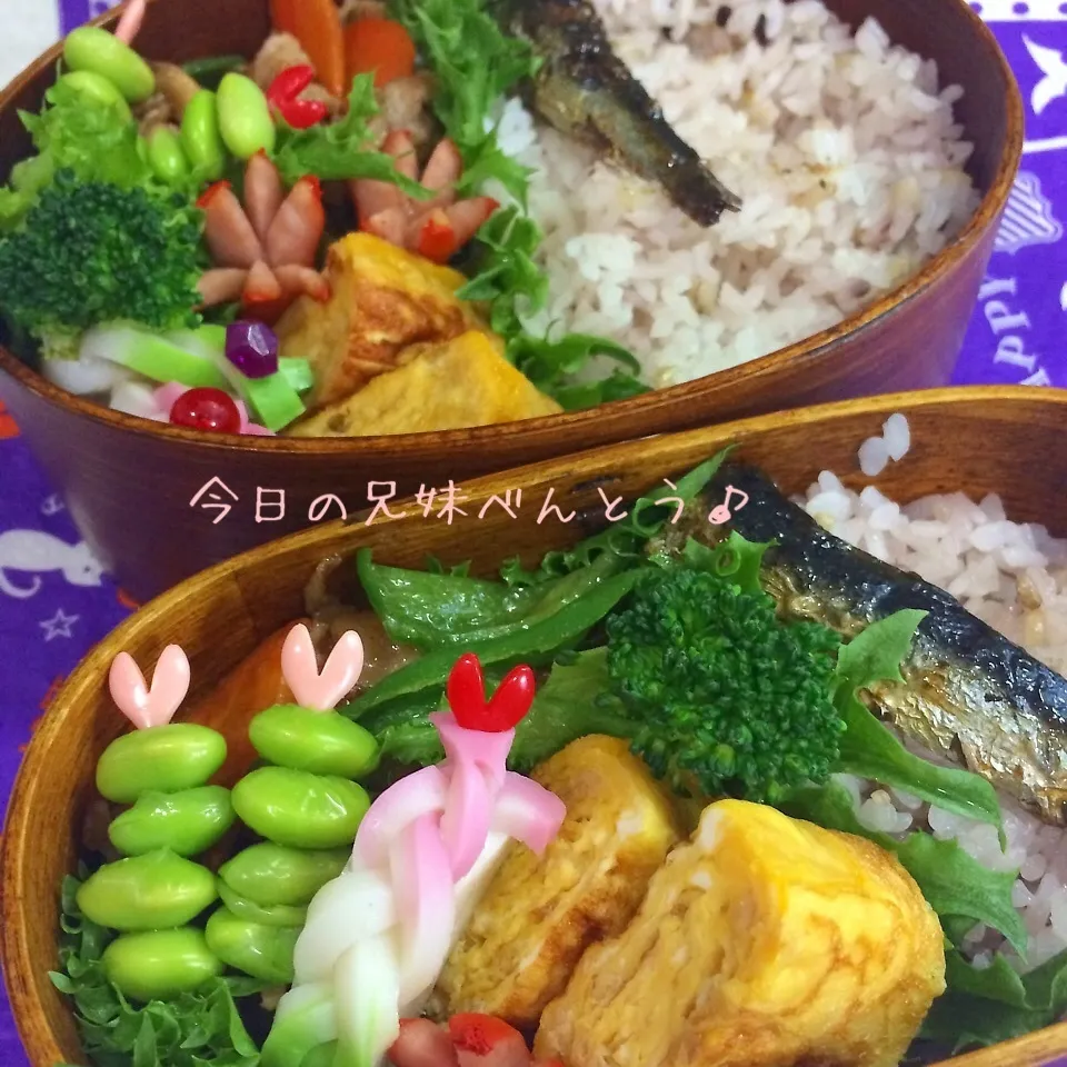 Snapdishの料理写真:今日の兄妹弁当|はなさん