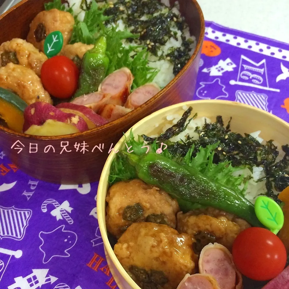 今日の兄妹弁当|はなさん