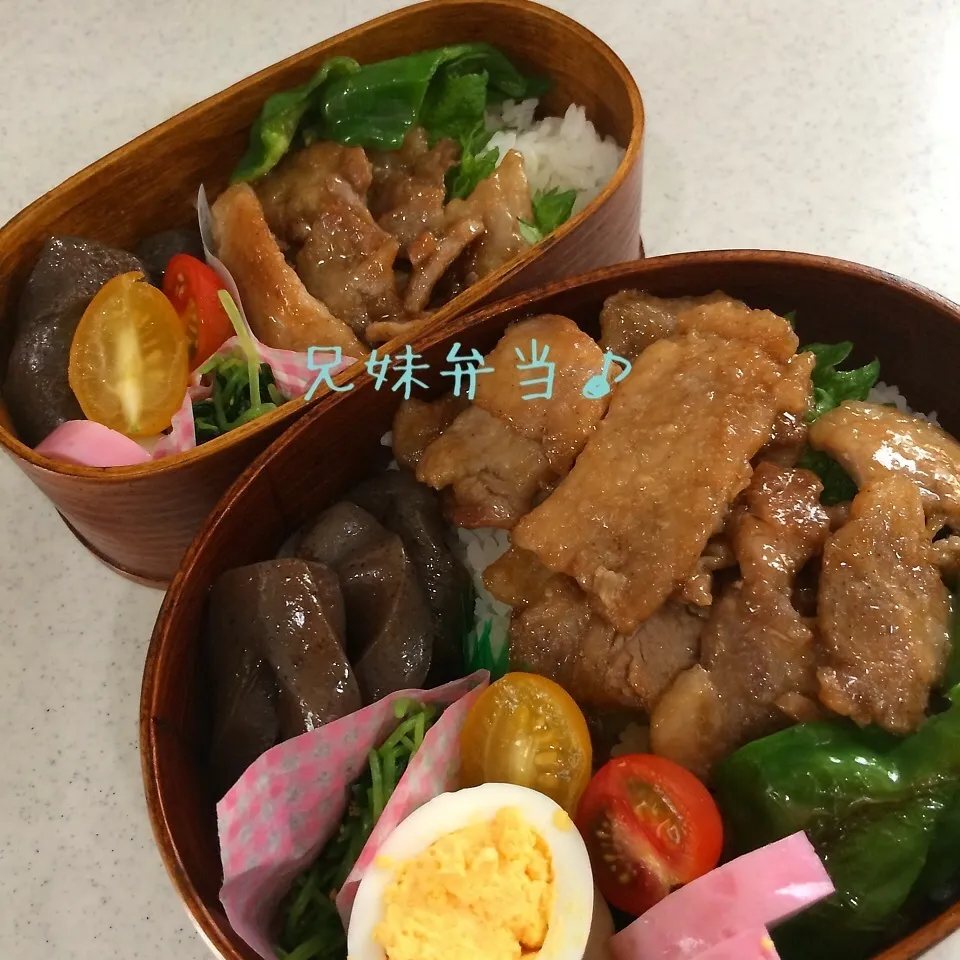 今日の兄妹弁当|はなさん