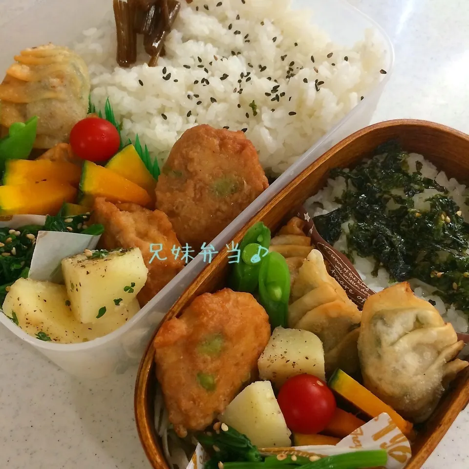 今日の兄妹弁当|はなさん