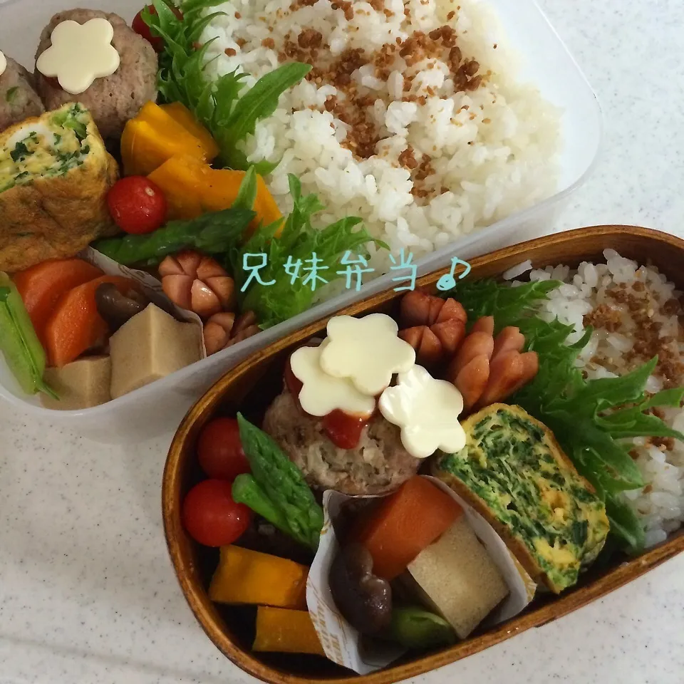 Snapdishの料理写真:今日の兄妹弁当|はなさん