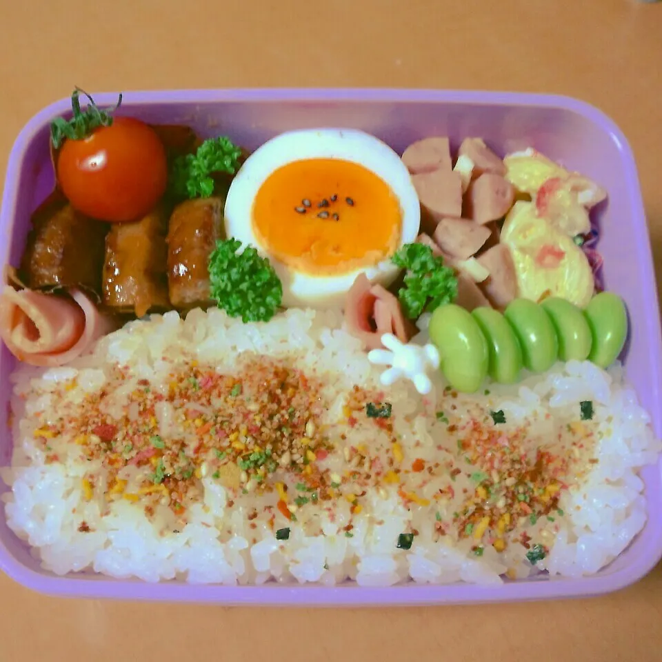 娘の物足りないお弁当^^; |サリーさん