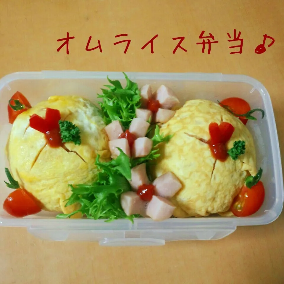 Snapdishの料理写真:プチオムライス弁当☆|サリーさん