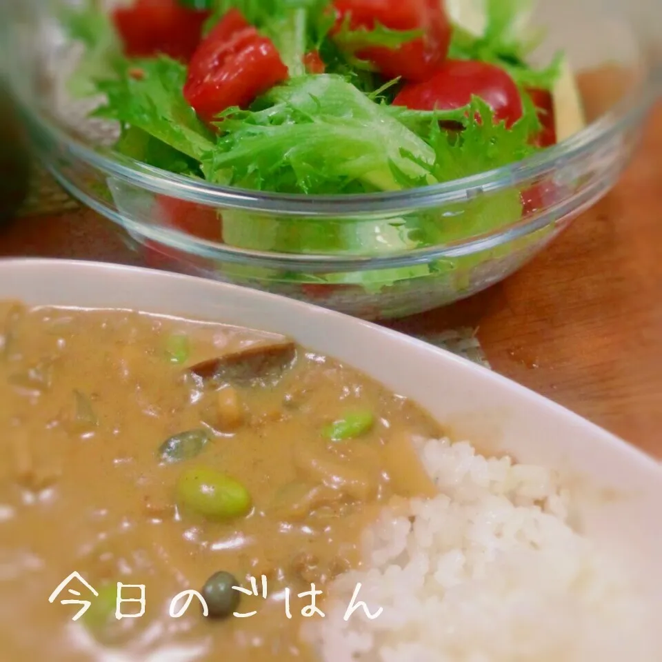 タイカレー風ミルクカレーと野菜サラダ|ナデシコさん