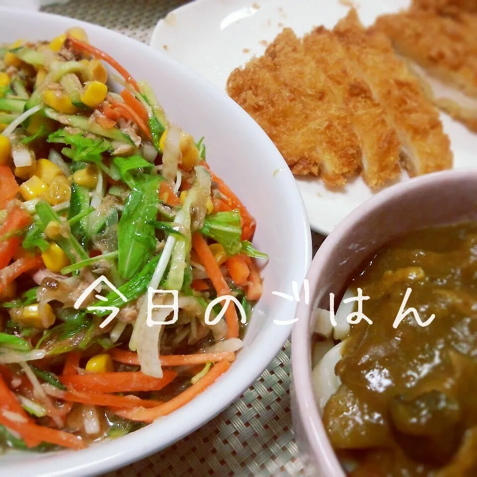 Snapdishの料理写真:ツナとコーンと野菜のサラダ☆他|ナデシコさん