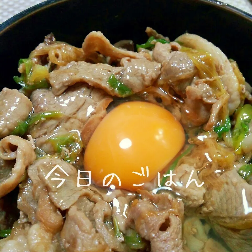 すた丼やさん風生姜丼|ナデシコさん