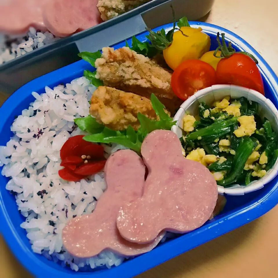 本日の兄弟弁当🎶|aroeさん