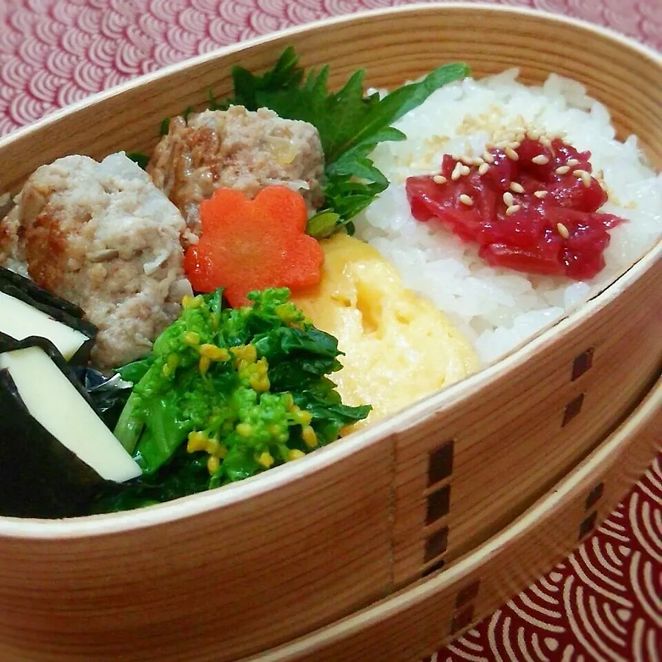 サクラサク( *˘╰╯˘*)|あんさん