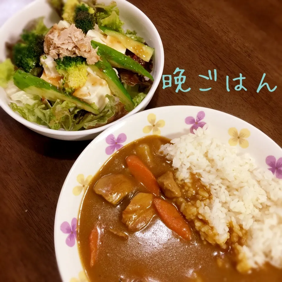 ポークカレー&豆腐サラダ|み〜さん