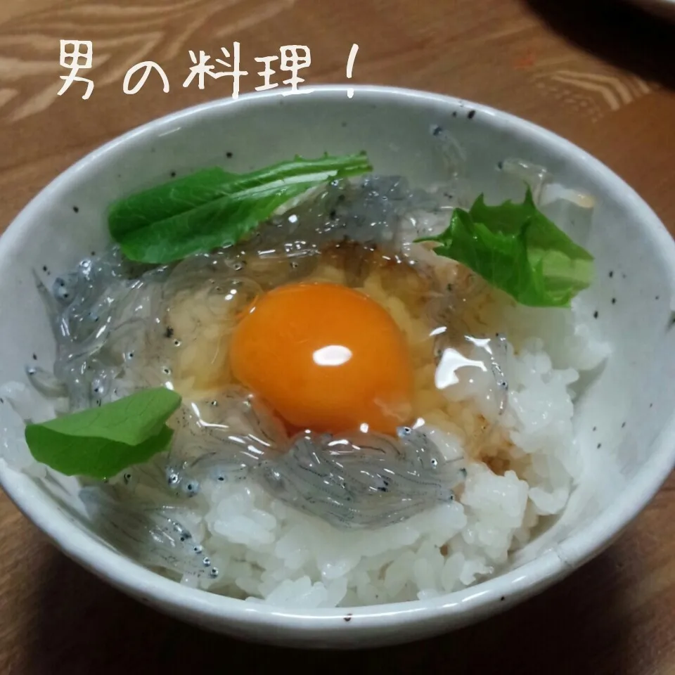 生しらすぶっかけ丼(小ぶり)|やんまぁさん