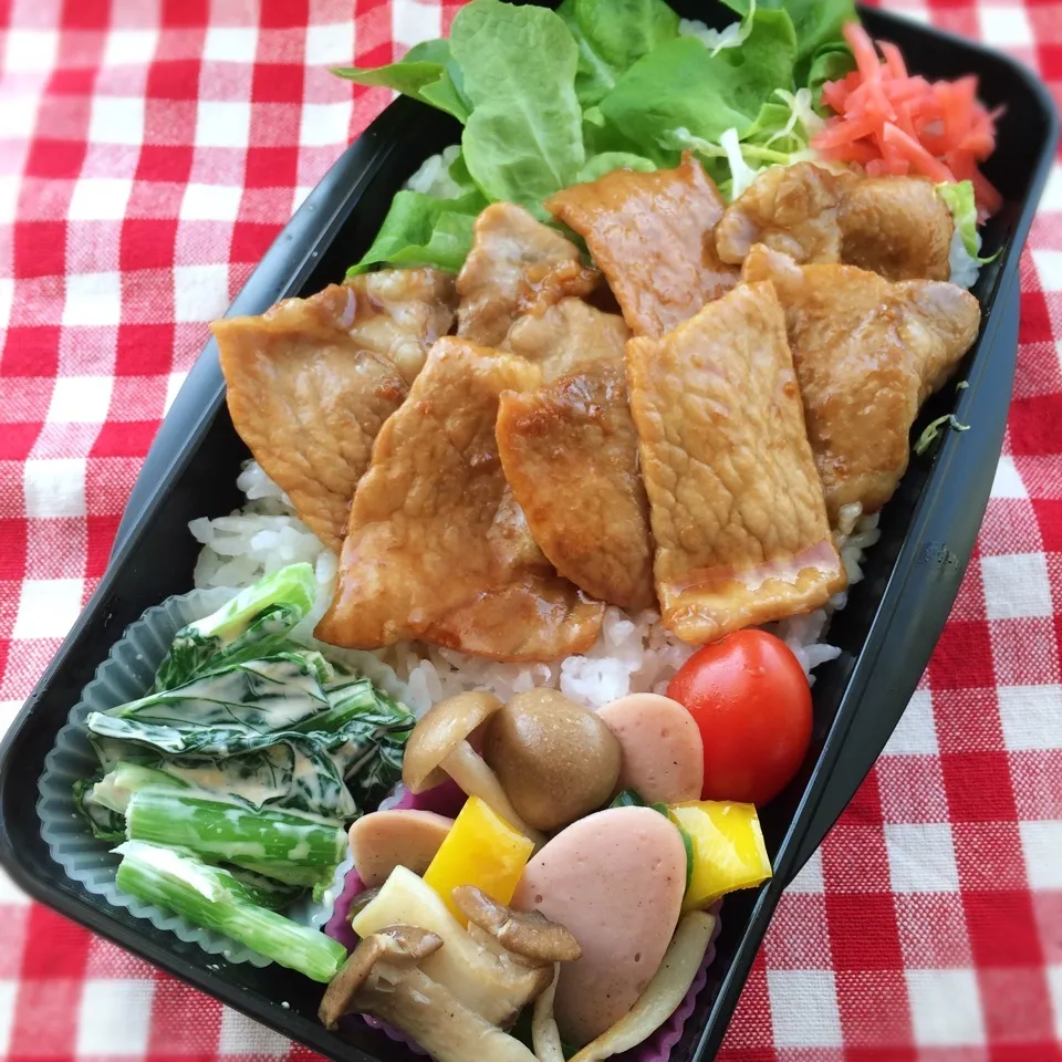 Snapdishの料理写真:今日のお弁当(豚丼)|demekinさん