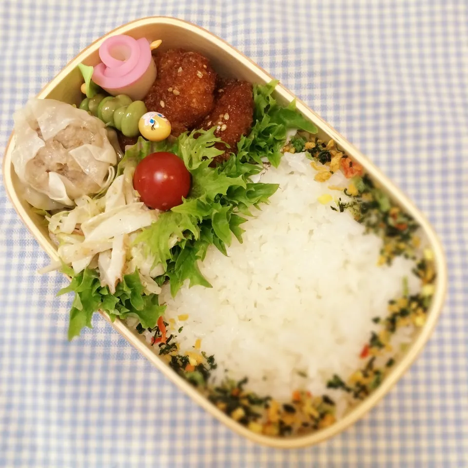 Snapdishの料理写真:今日のお弁当(とんかつ 甘辛醤油からめ)|demekinさん