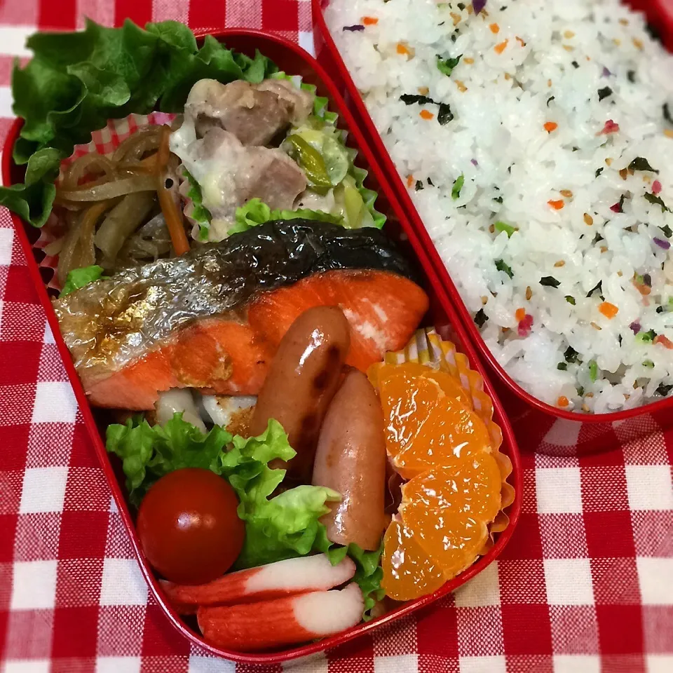 Snapdishの料理写真:今日のお弁当(紅鮭)|demekinさん