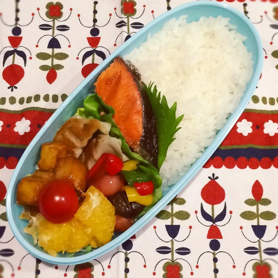 今日のお弁当(塩鮭)|demekinさん