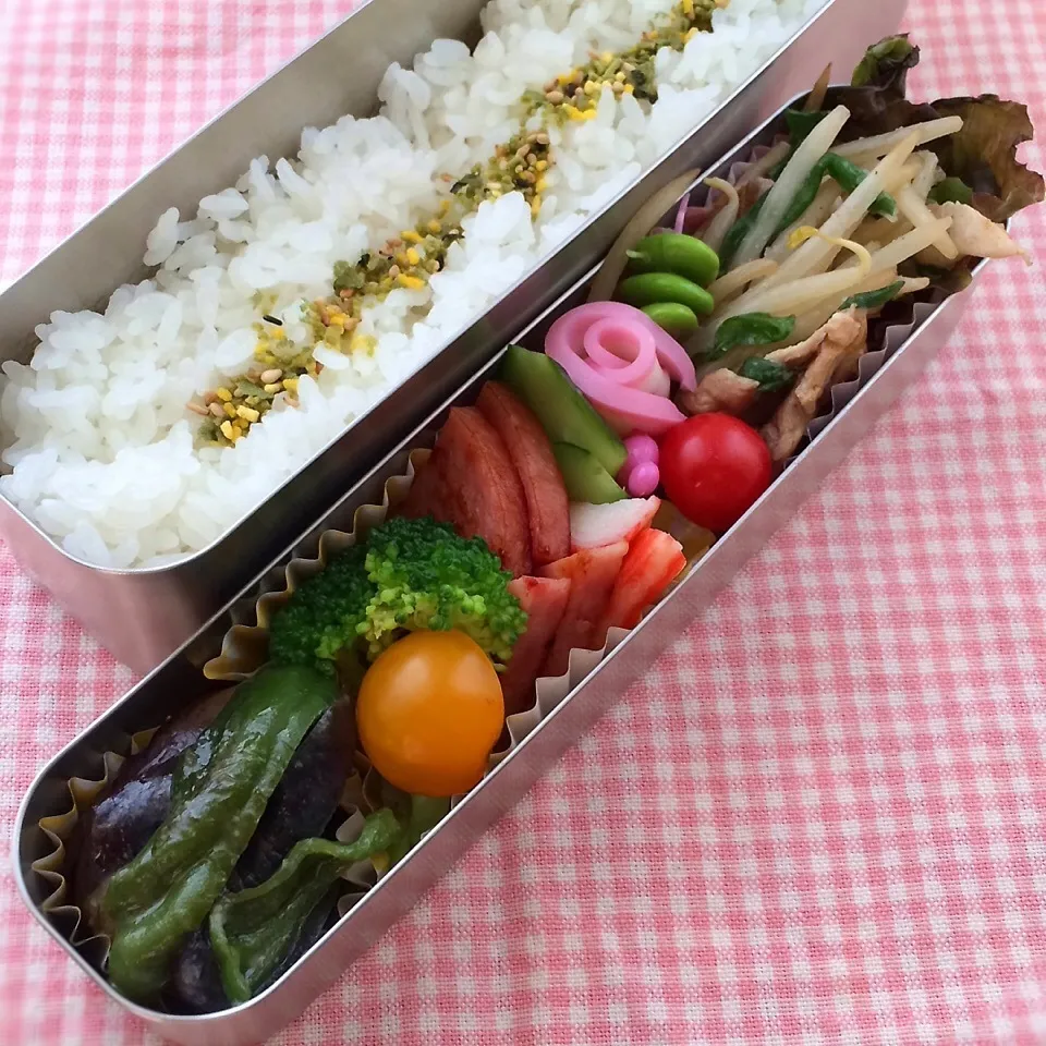 今日のお弁当(もやしと豚肉の炒め物)|demekinさん