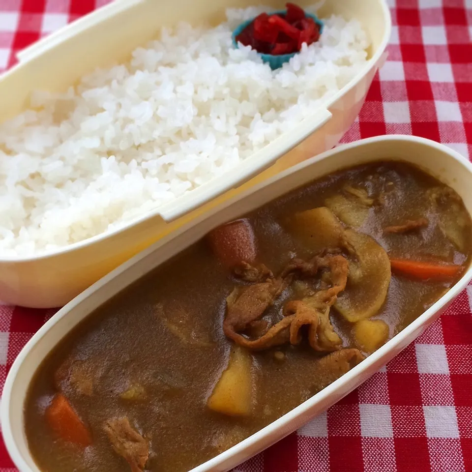 Snapdishの料理写真:今日のお弁当(カレーライス)|demekinさん