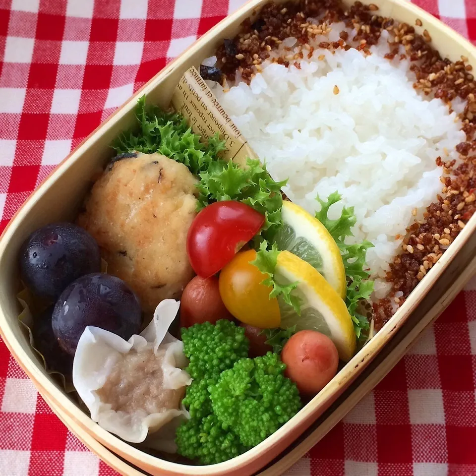 Snapdishの料理写真:今日のお弁当(ひじき入り豆腐ハンバーグ)|demekinさん