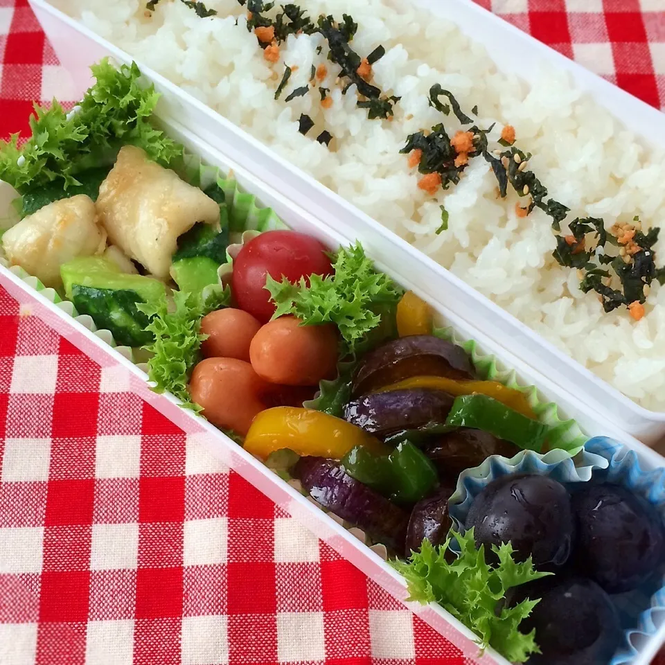 今日のお弁当(イカときゅうりのあっさり炒め)|demekinさん