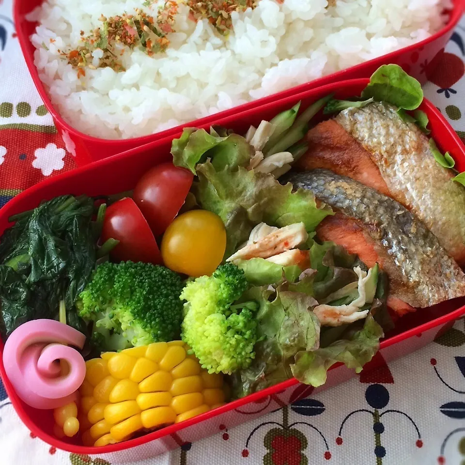 今日のお弁当(塩鮭)|demekinさん