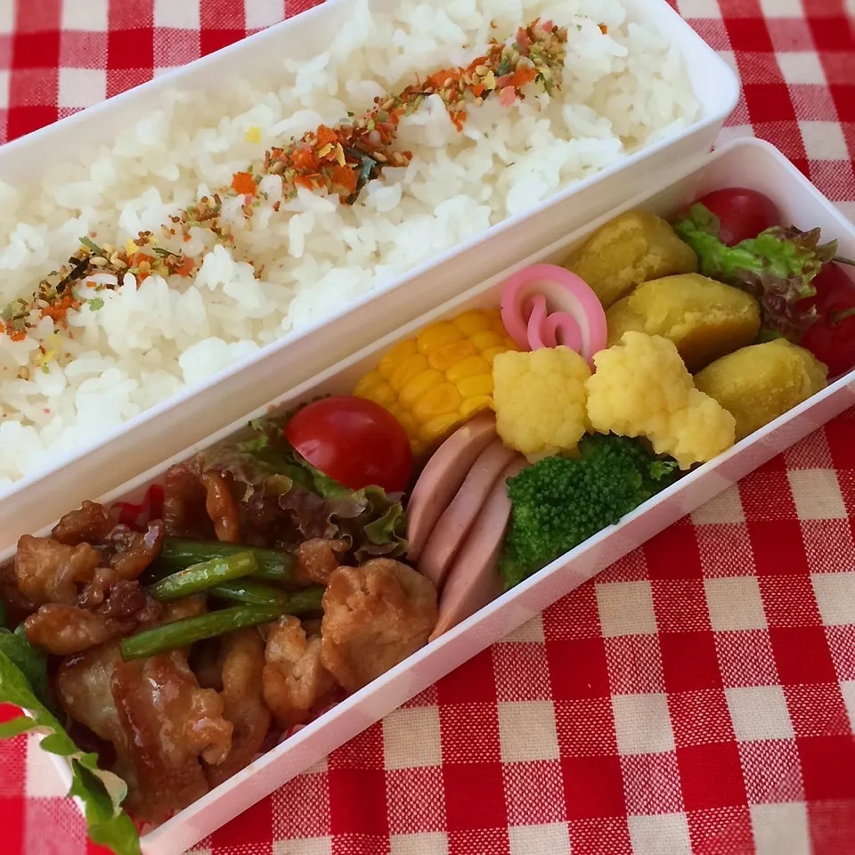 Snapdishの料理写真:今日のお弁当|demekinさん