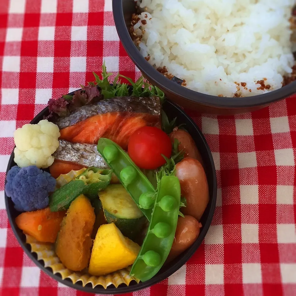 今日のお弁当(塩鮭)|demekinさん