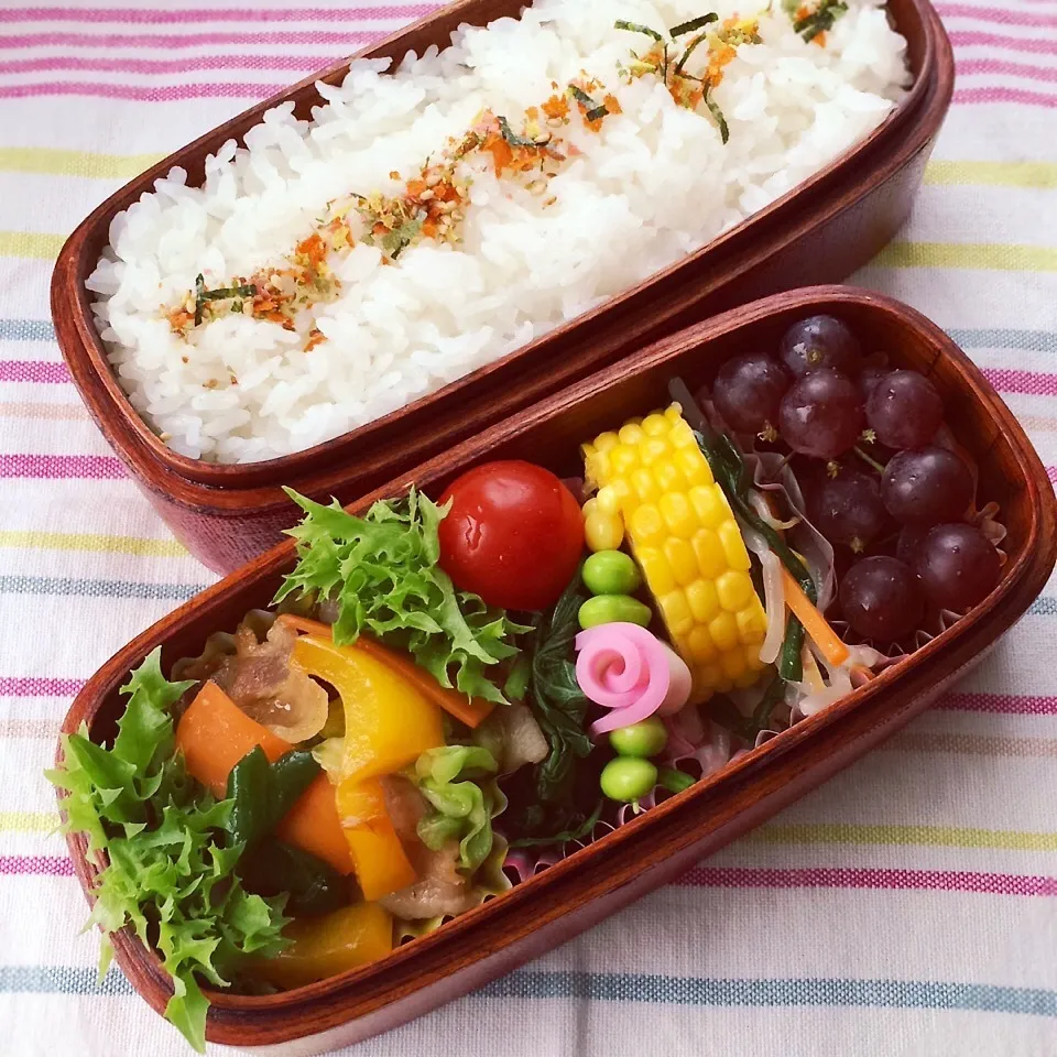 今日のお弁当(豚バラと野菜のオイスターソース炒め)|demekinさん