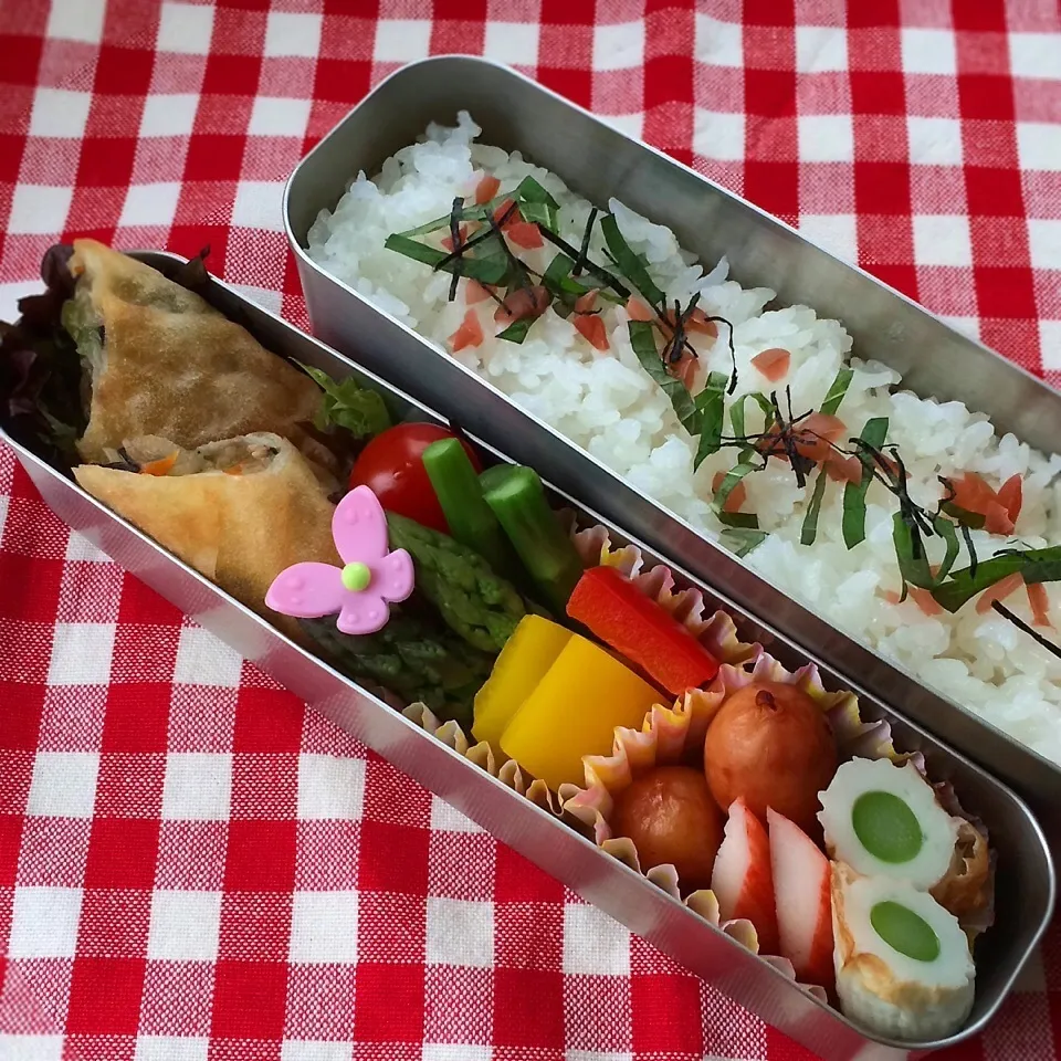 Snapdishの料理写真:今日のお弁当(ひじき入り春巻き)|demekinさん