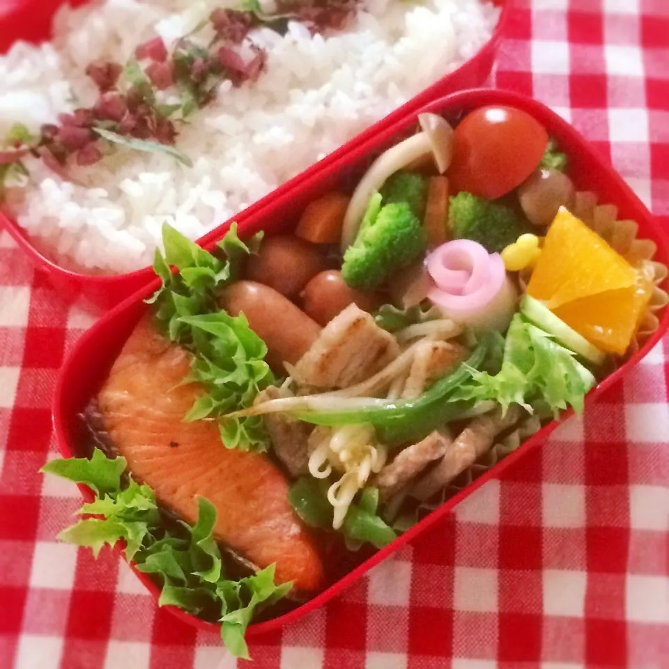 今日のお弁当(塩鮭)|demekinさん