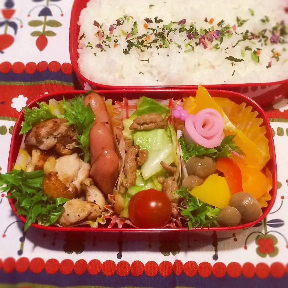 今日のお弁当(鶏肉のレモン塩炒め)|demekinさん