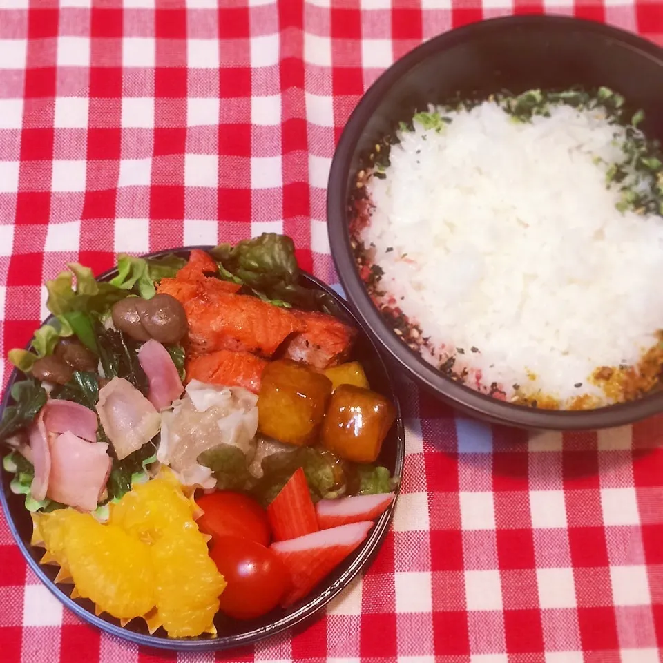 今日のお弁当(塩鮭)|demekinさん