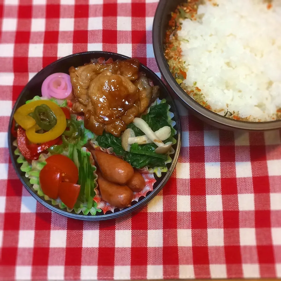 今日のお弁当(豚肉の甘辛炒め)|demekinさん