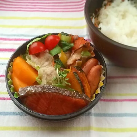 今日のお弁当(塩鮭)|demekinさん