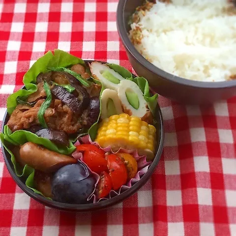 今日のお弁当(豚肉と茄子のピリ辛炒め)|demekinさん