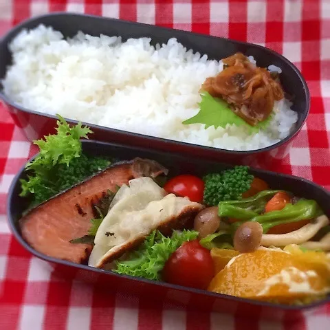 今日のお弁当(塩麹鮭)|demekinさん