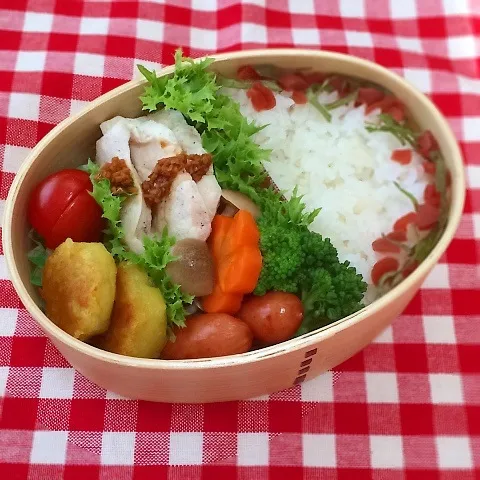 今日のお弁当(ゆで鶏の香味たれがけ)|demekinさん