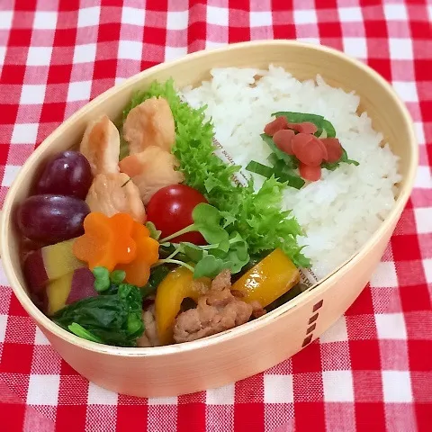 今日のお弁当(鶏肉のレモン塩焼き)|demekinさん