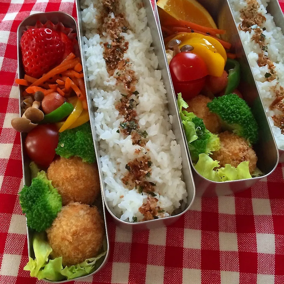 Snapdishの料理写真:お弁当(肉じゃがおからコロッケ)|demekinさん